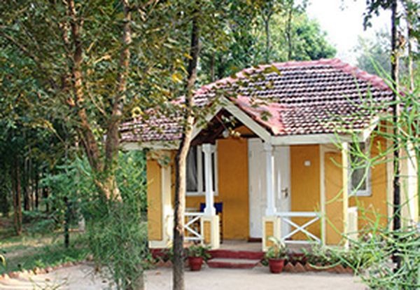 Wild Chalet Resort