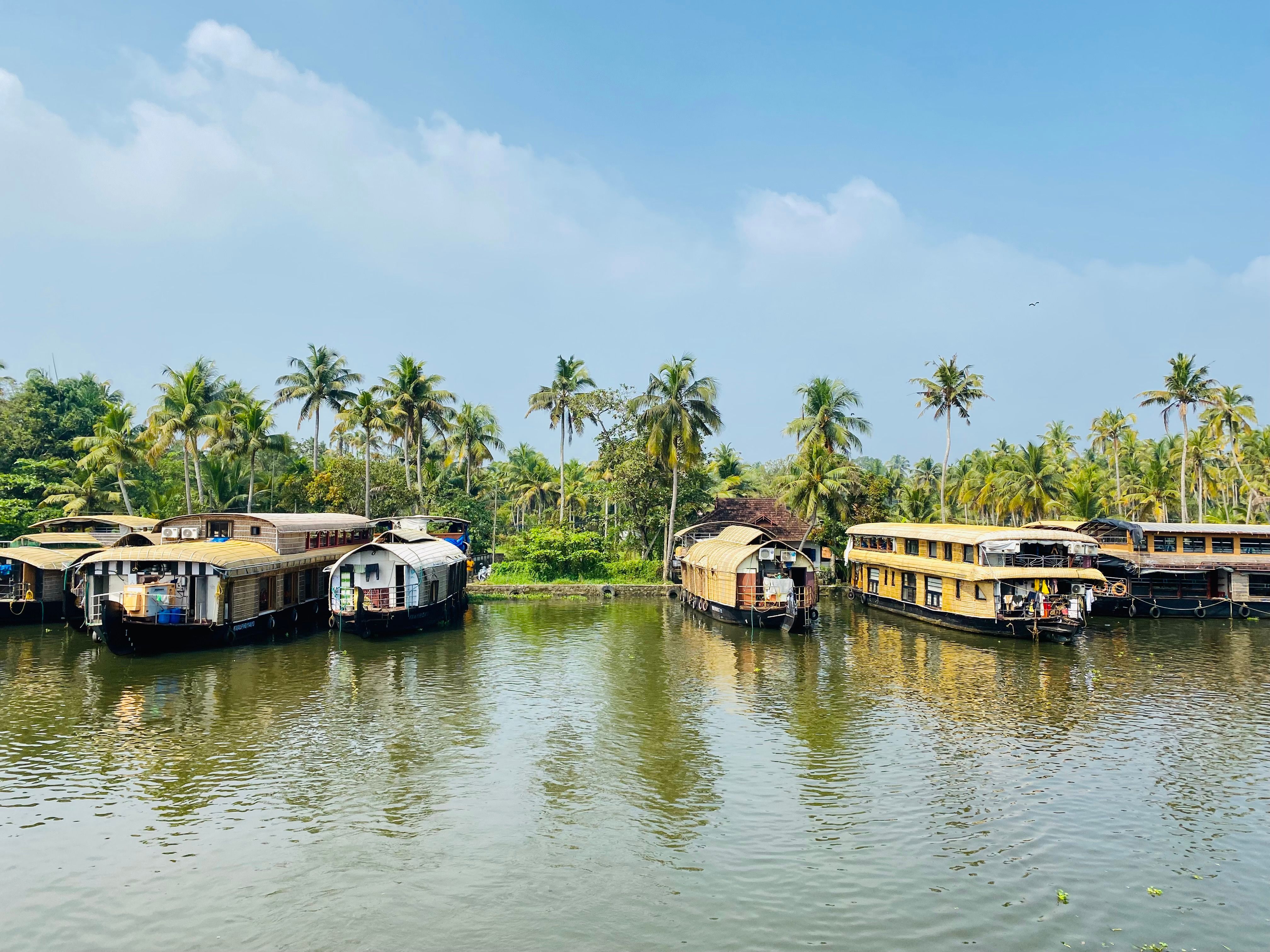 Shikara rides in Alappuzha (Alleppey)