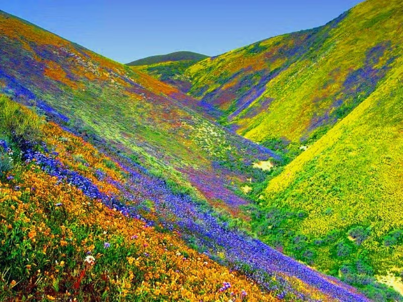 Le trek de la vallée des fleurs