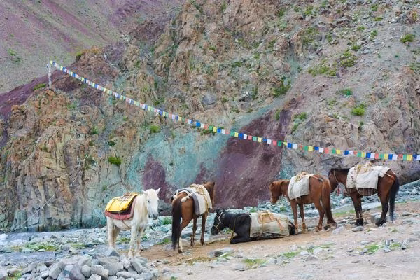 Stok Kangri with the Markha Valley