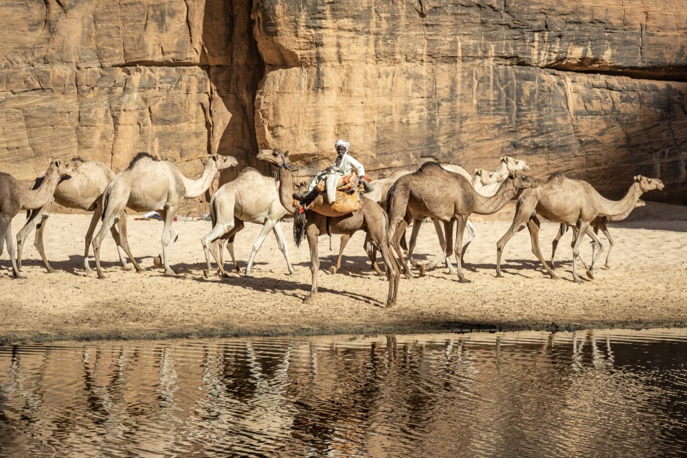 Massif de l'Ennedi