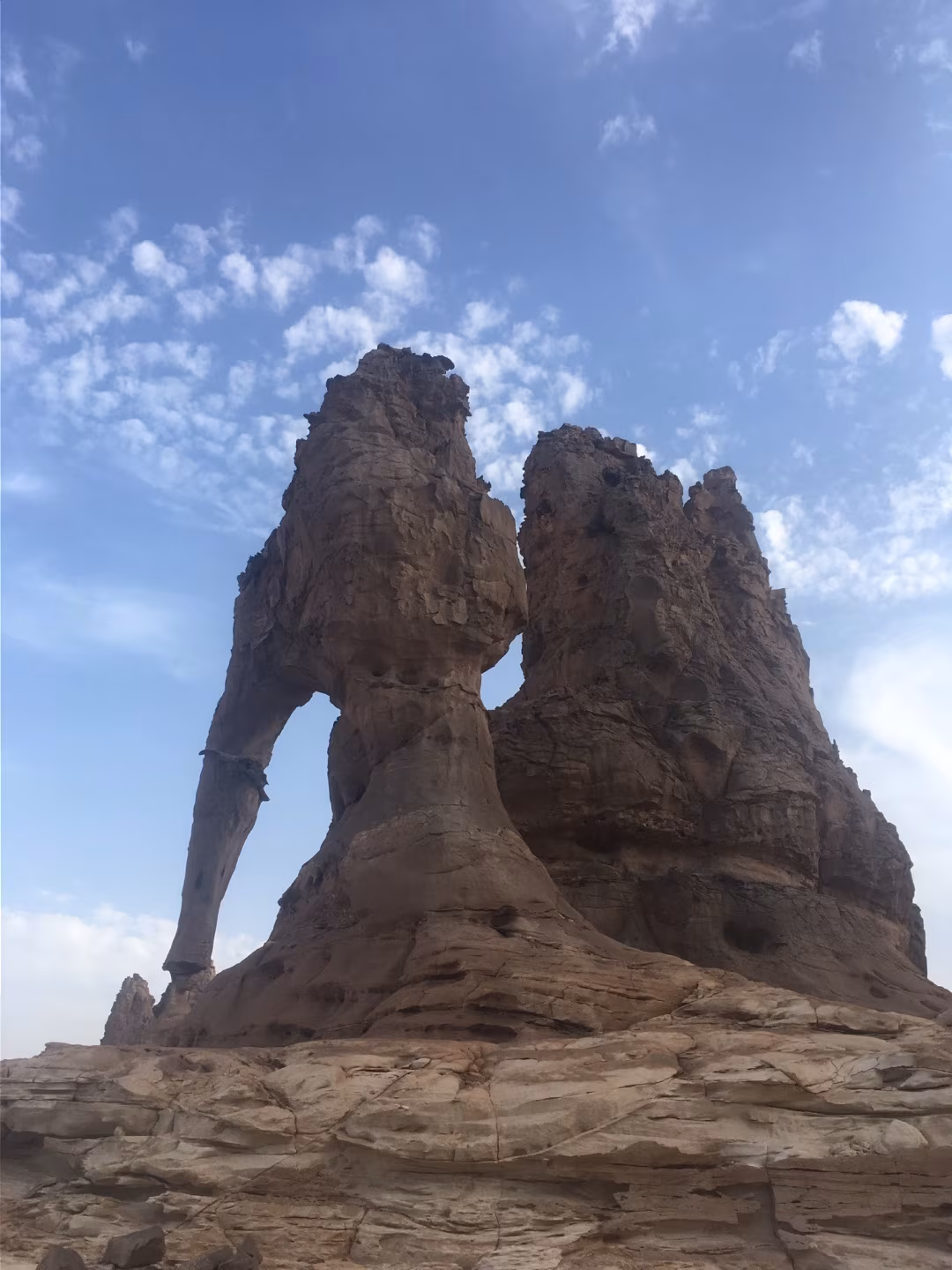 Faya Loop