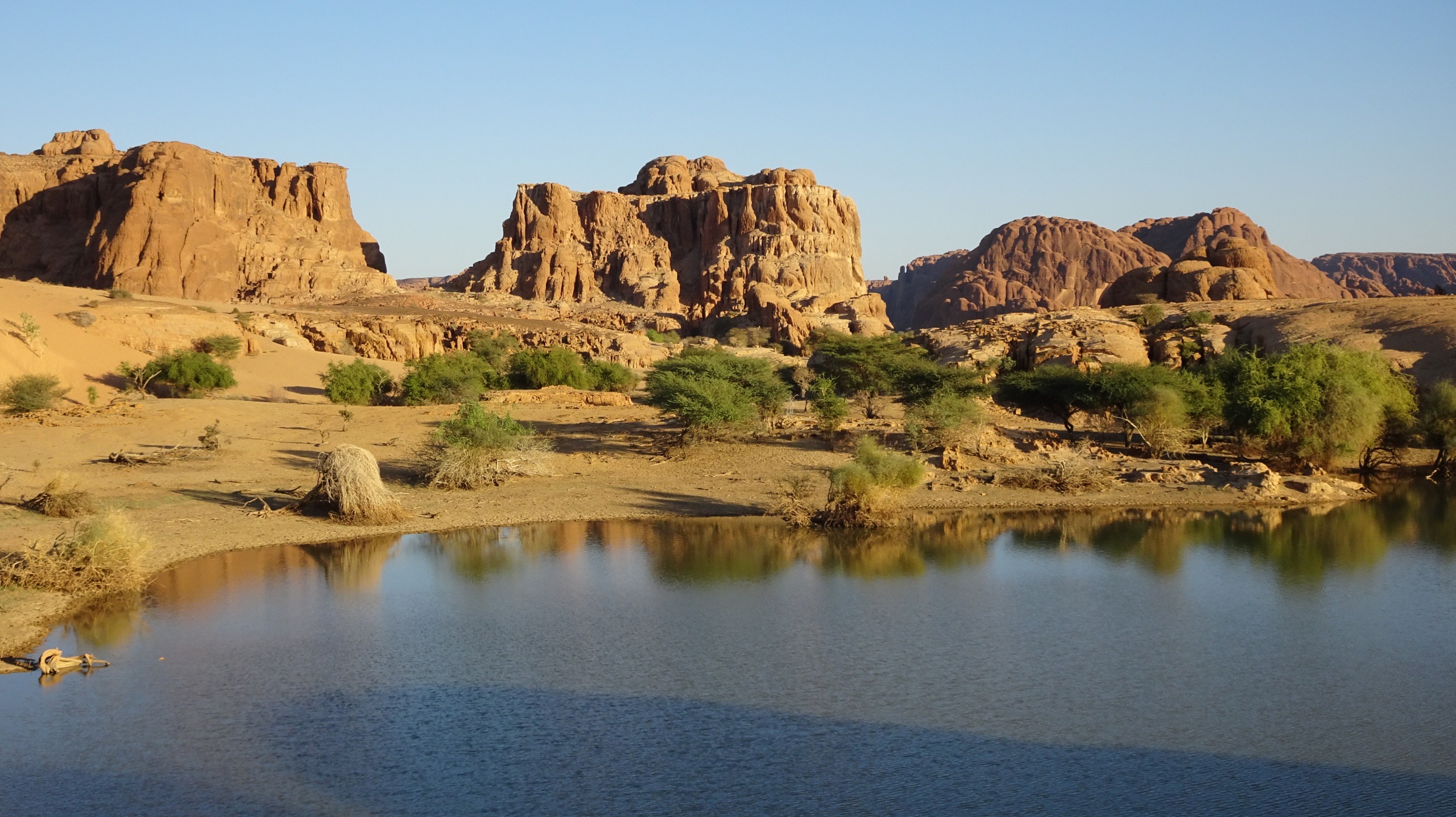 De l'Ennedi au parc de Zakuma