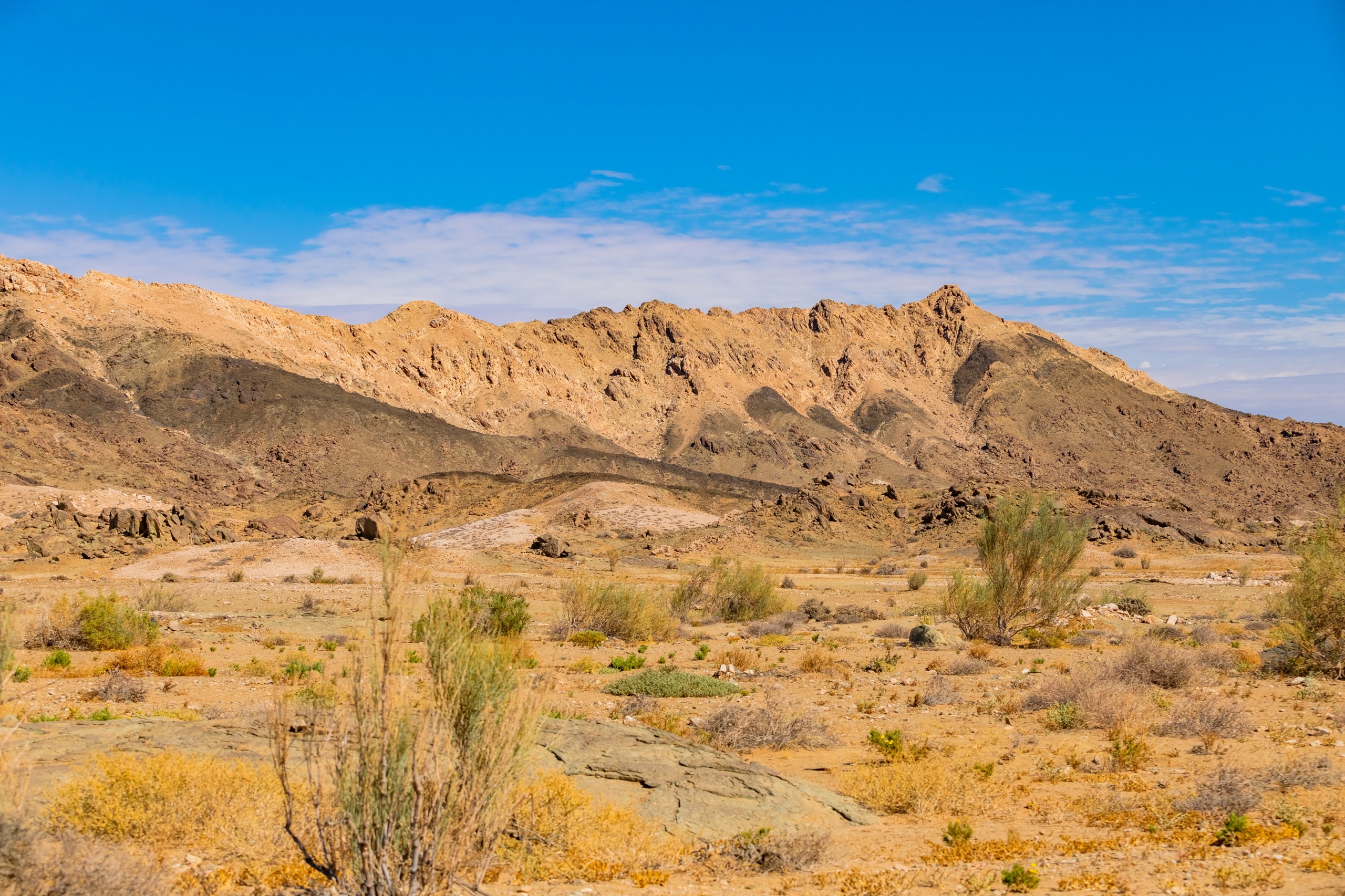 Désert de Richtersveld