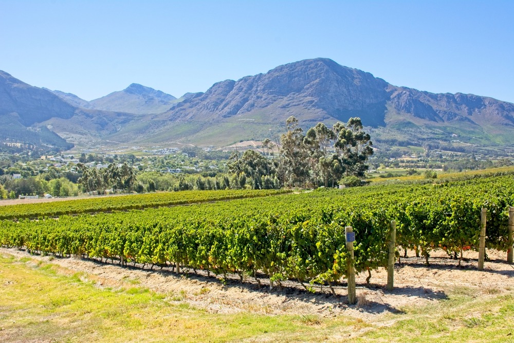 Franschhoek Wine Valley