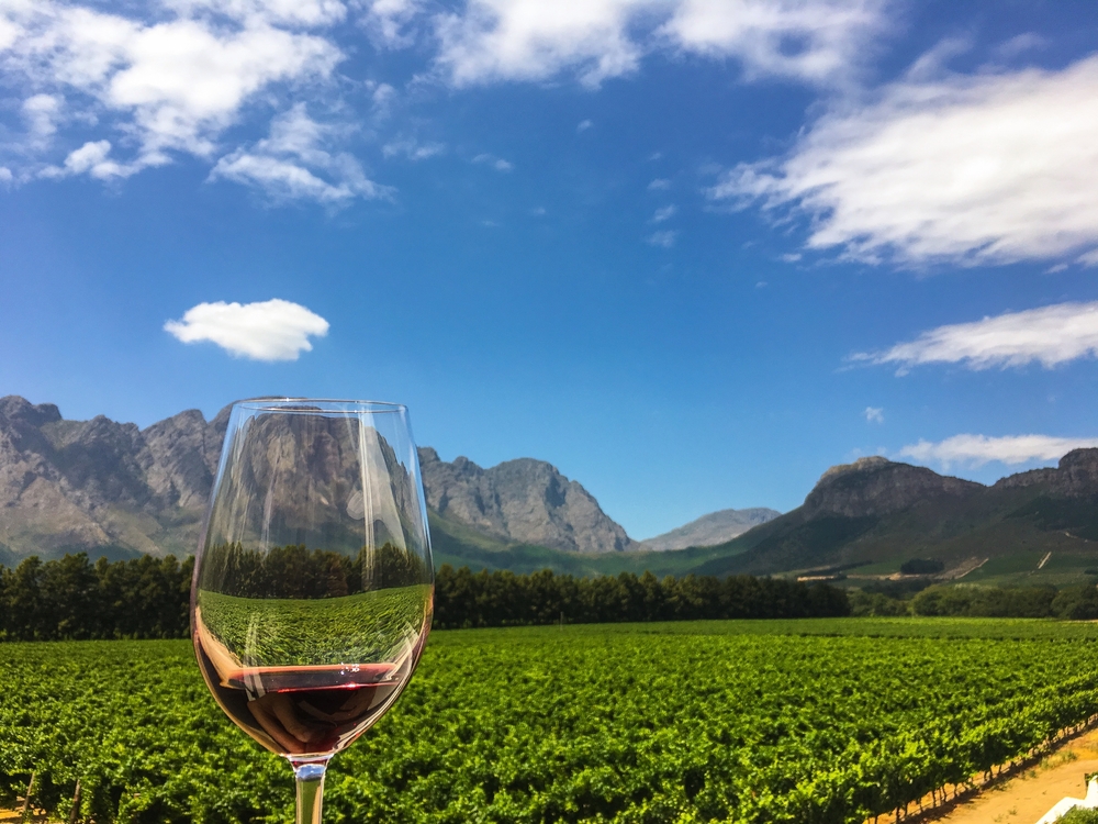 Route des vins de Stellenbosch
