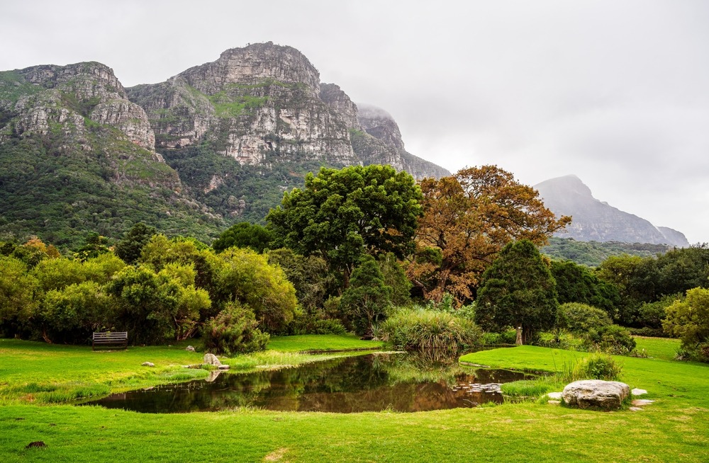 Kirstenbosch Botanic Garden