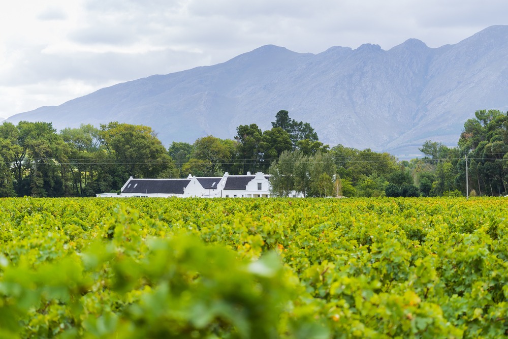 Paarl
