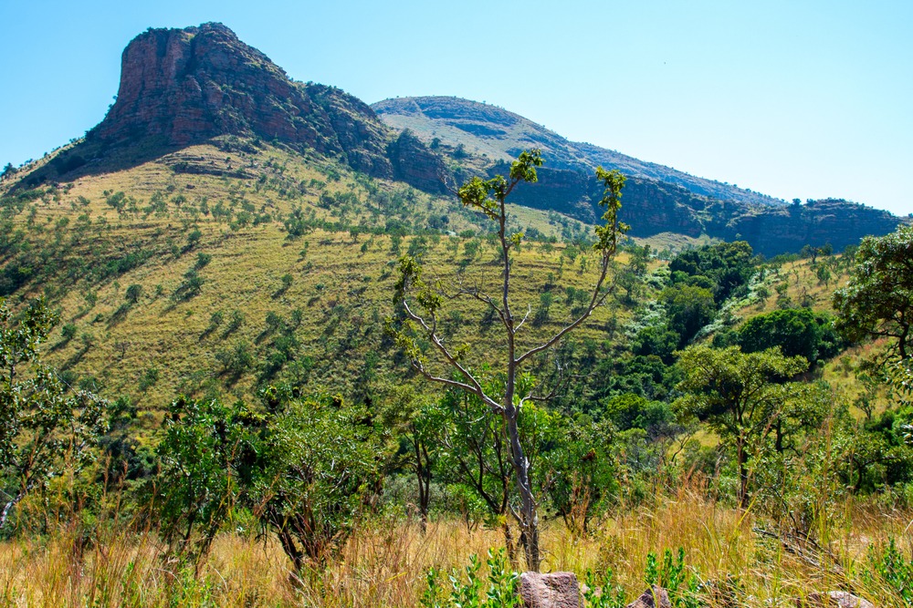 Guernsey Reserve