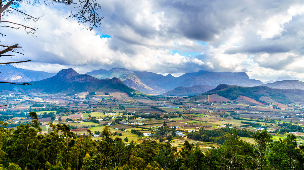 Franschhoek, aperçu et suggestions de visites