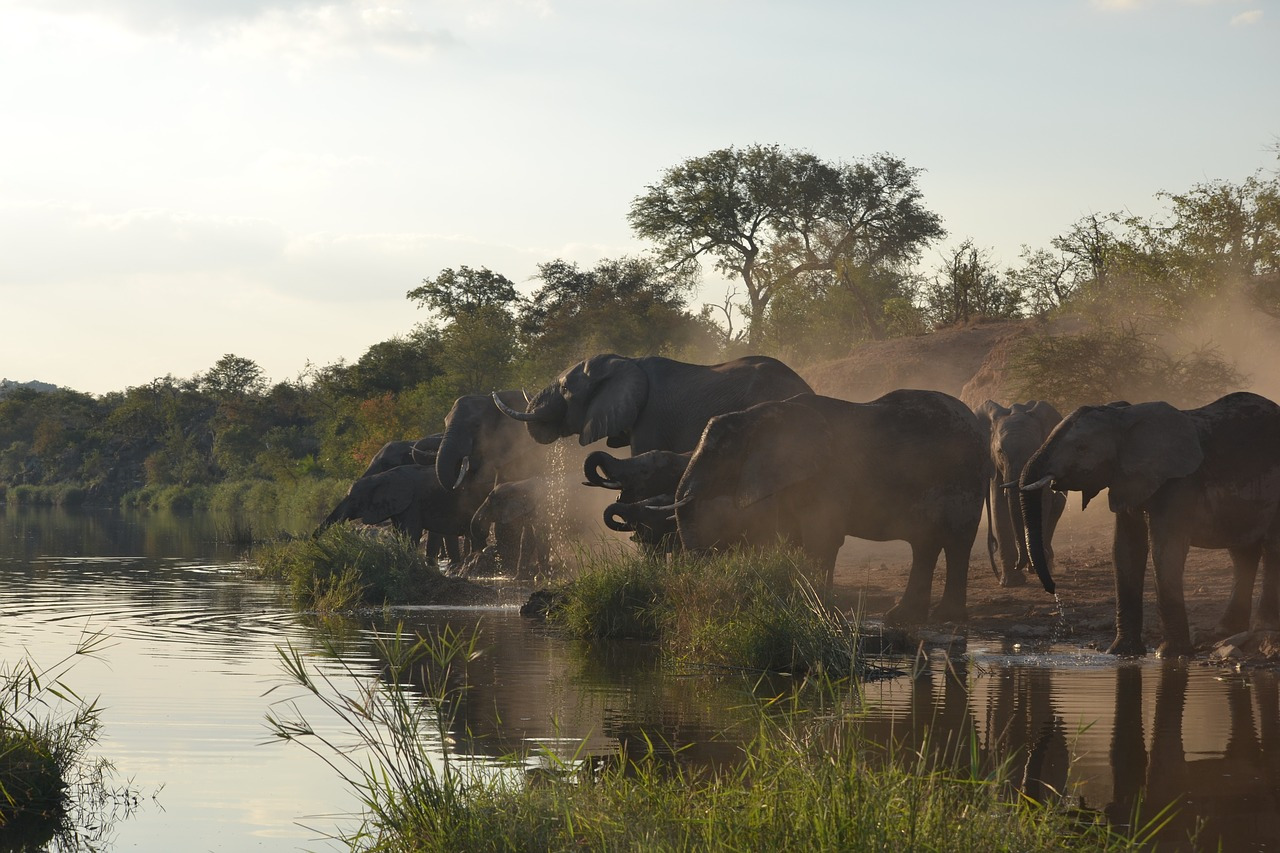 Die schönsten Privatreservate in der Nähe des Kruger-Nationalparks in Südafrika
