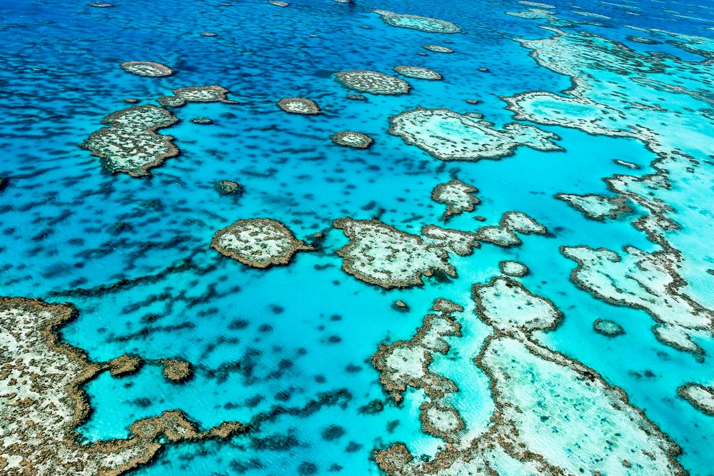 Grande Barrière de Corail