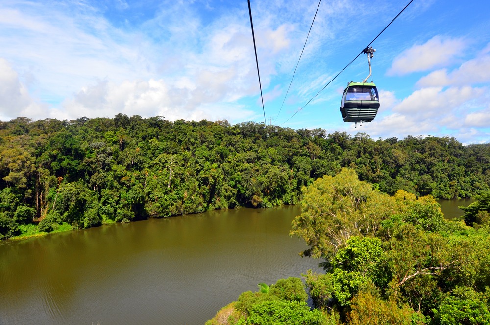 Kuranda State Forest