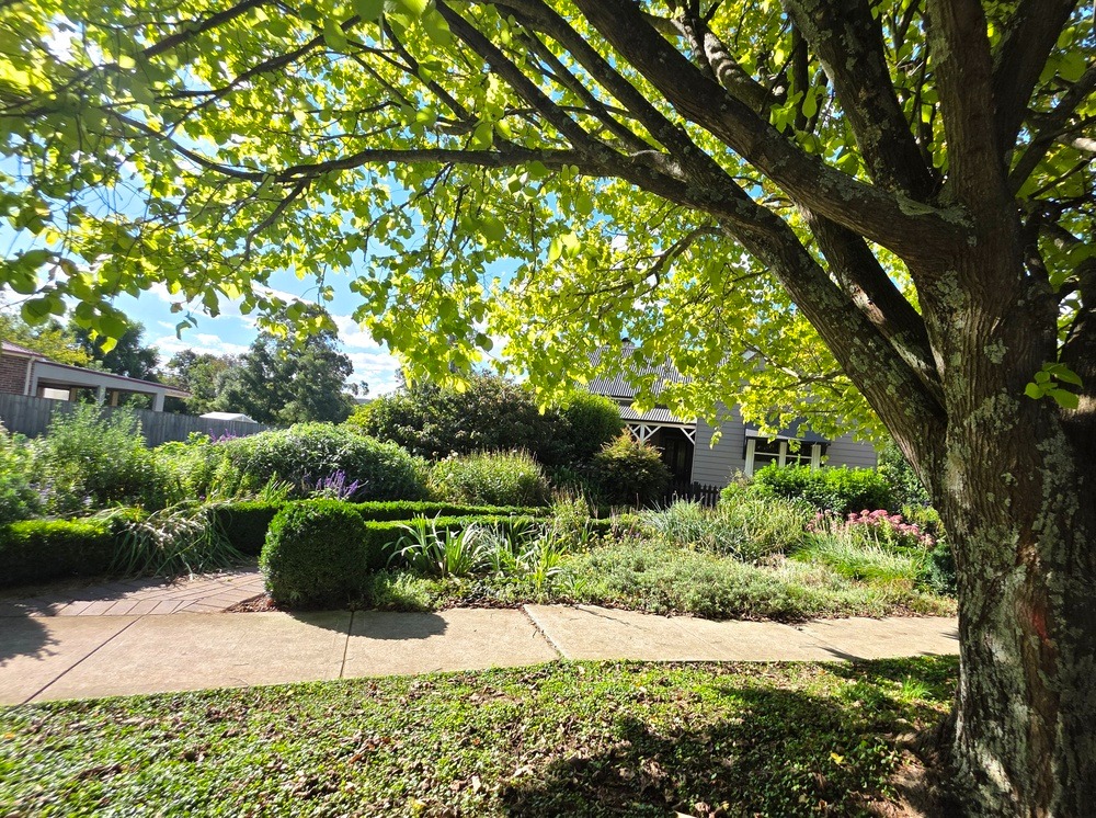 Southern Highlands