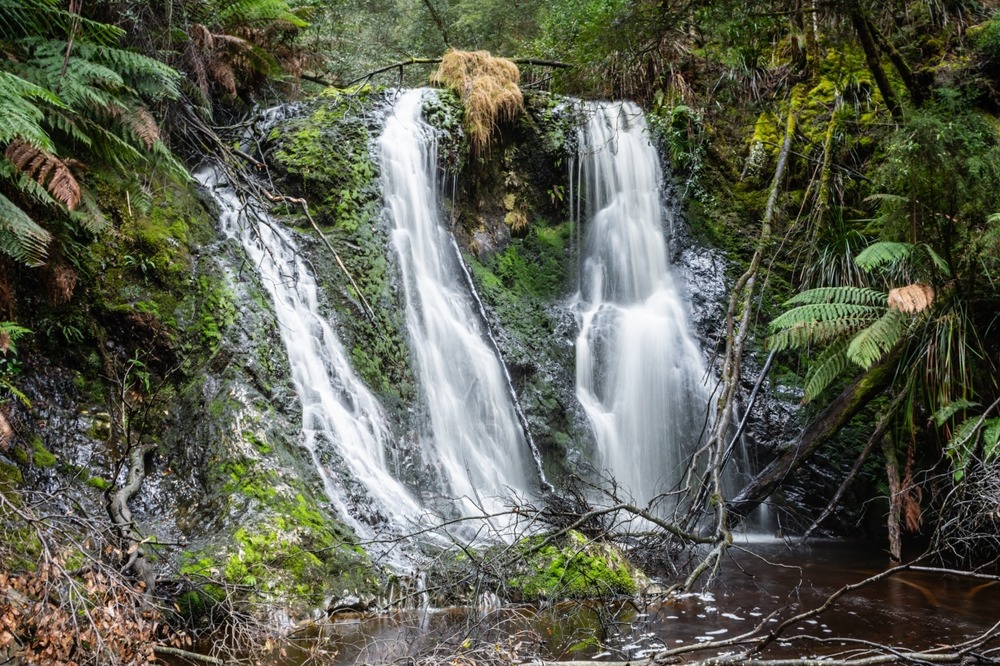 Chutes Hogarth