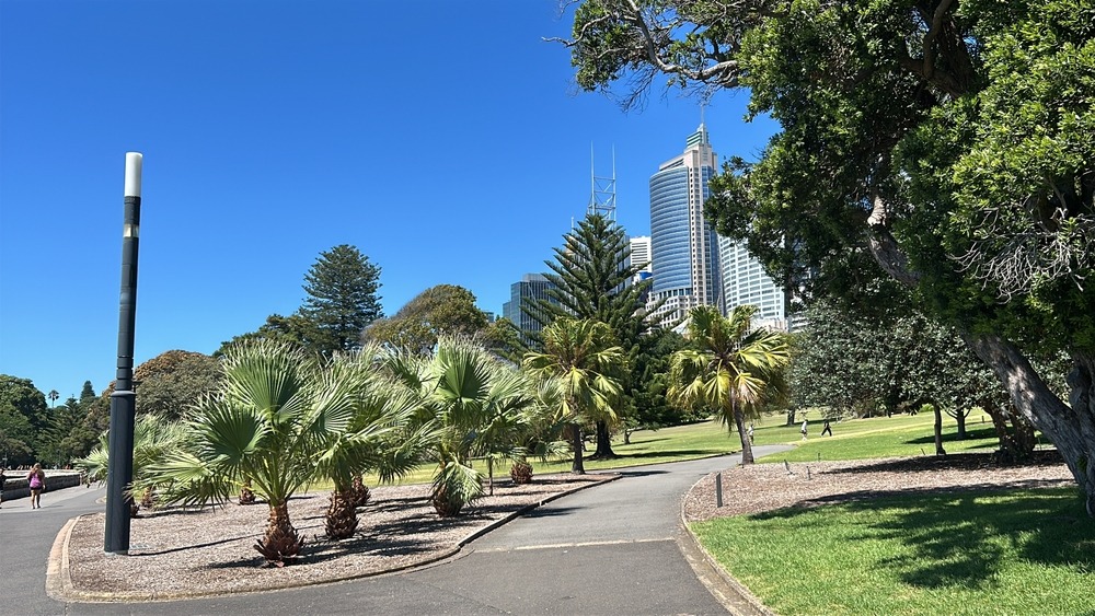 Royal Botanic Garden