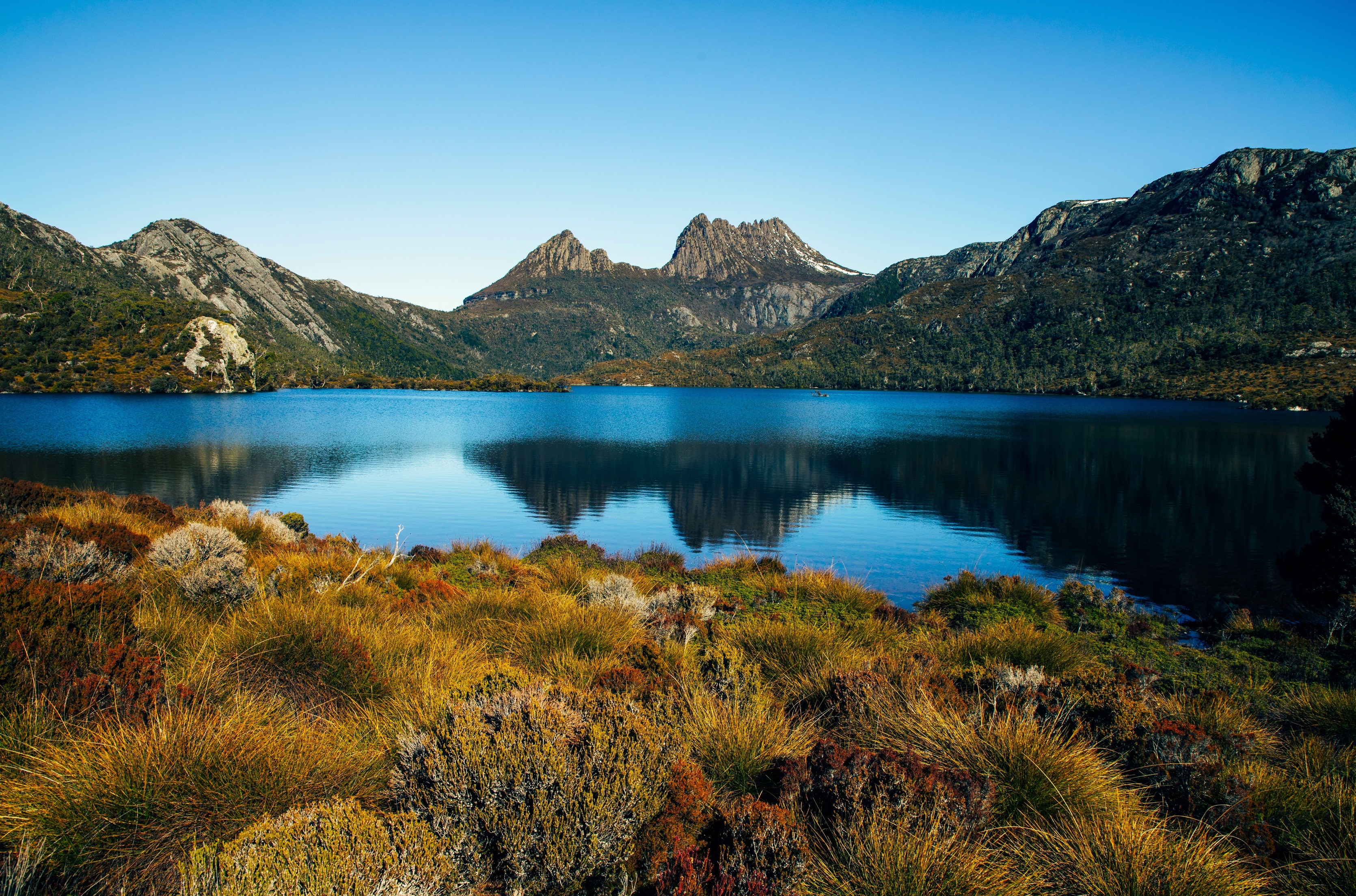 Tasmanie