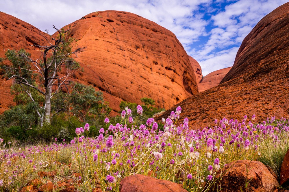 Couleurs d'Australie