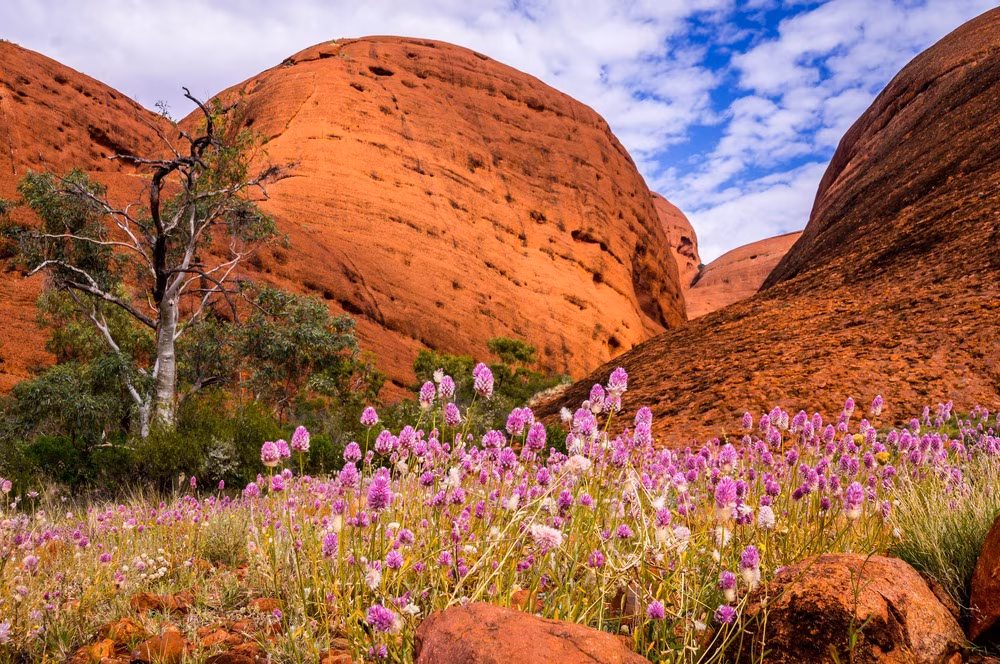 Colors of Australia