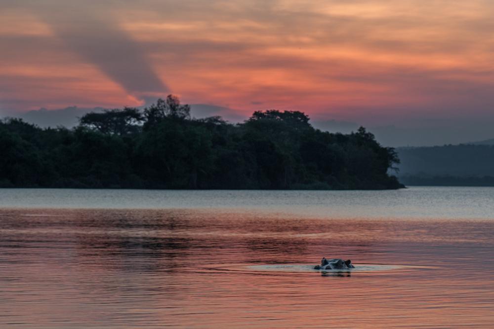 Voyage de 10 jours en Ouganda : Que faire ?