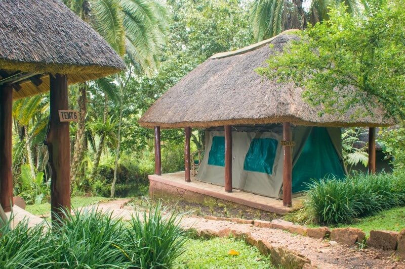 Kibale forest camp