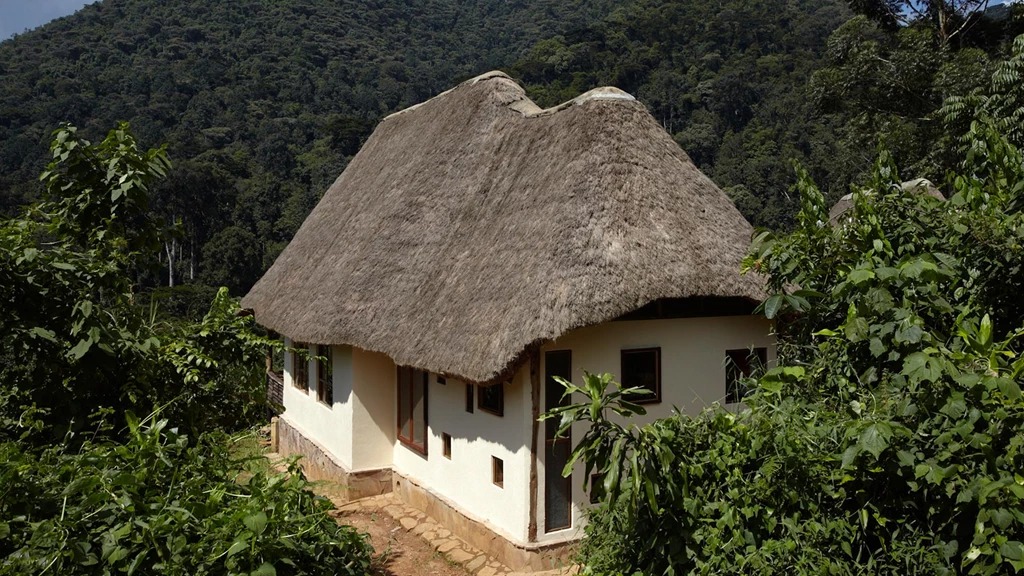 Bwindi lodge
