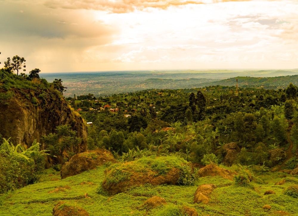 Mbale