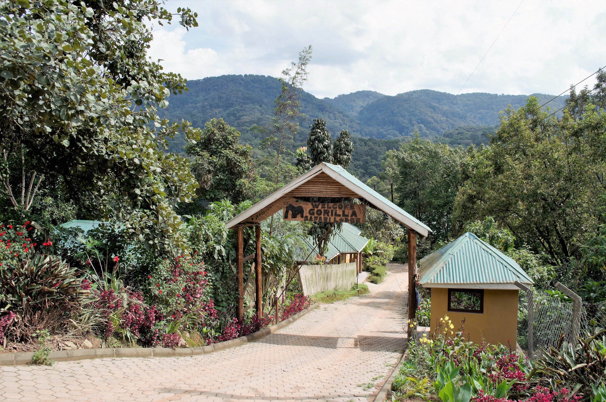 Gorilla Safari lodge
