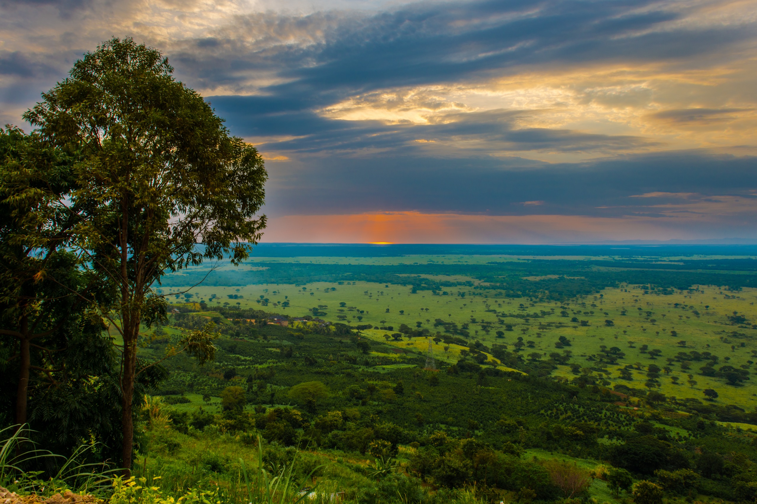 Ouganda