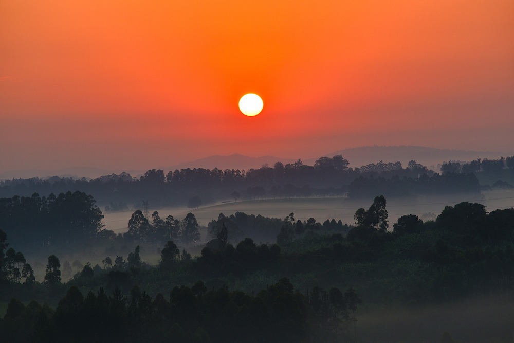 Les perles de l'Ouganda