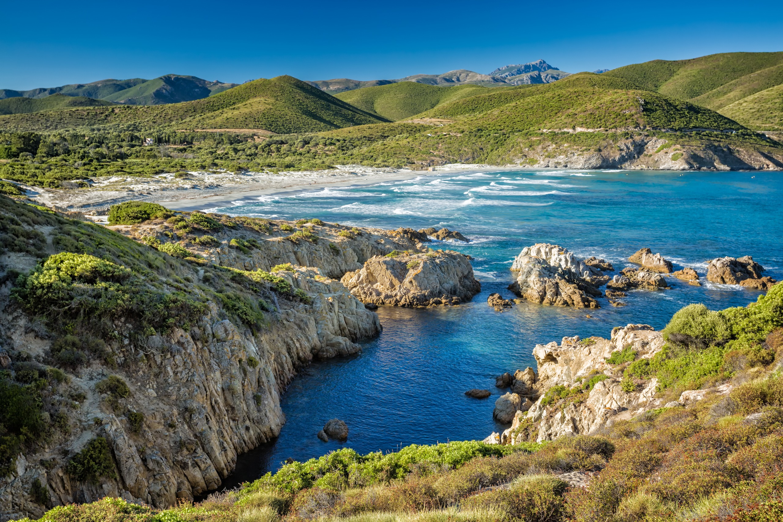Corse