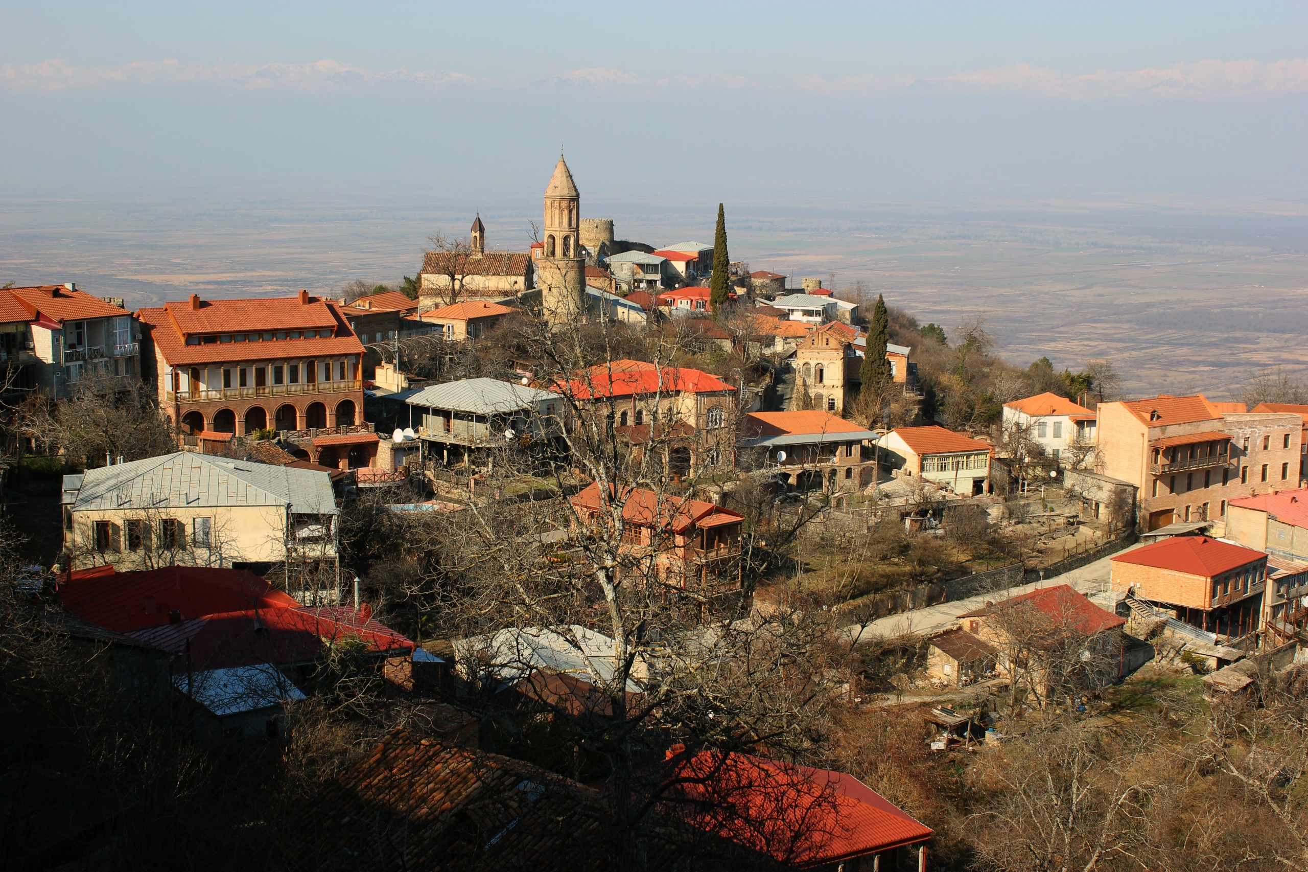 Telavi