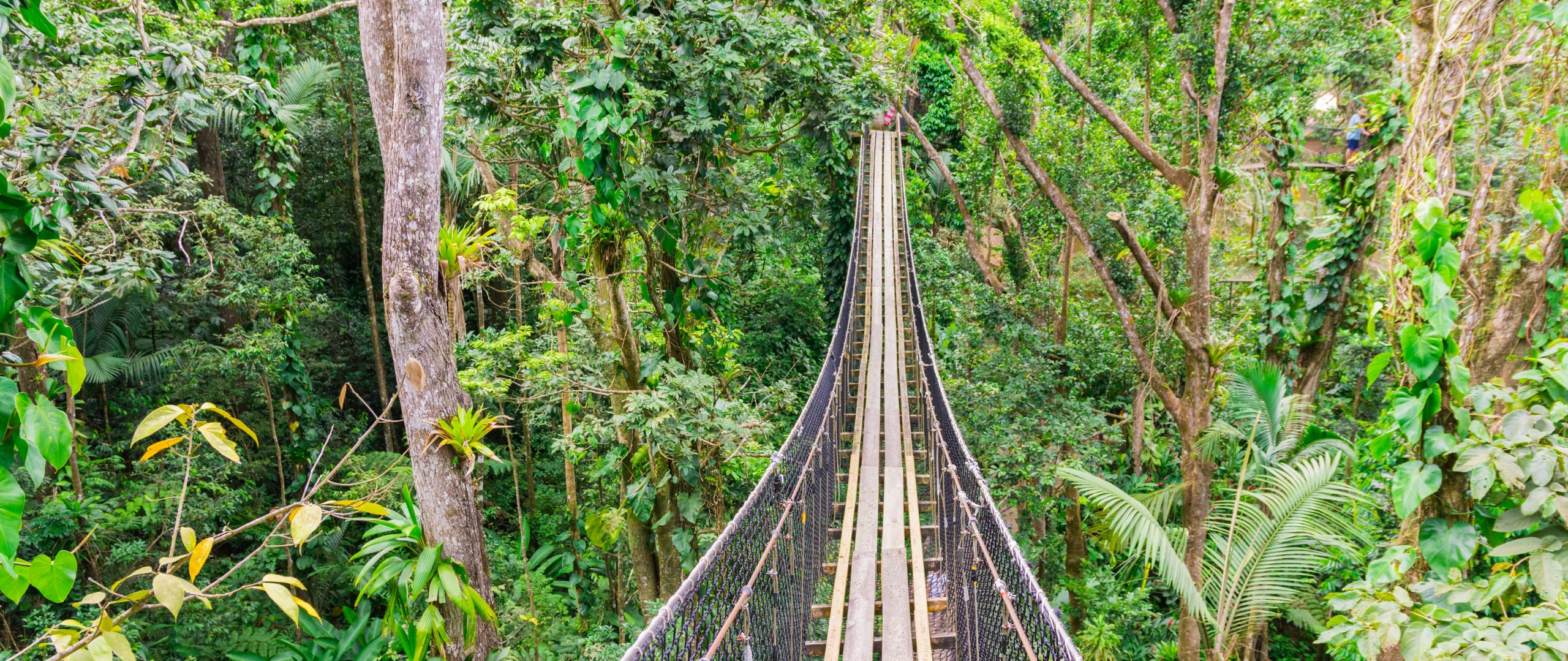 Koroko, votre agence de voyage locale en Guadeloupe