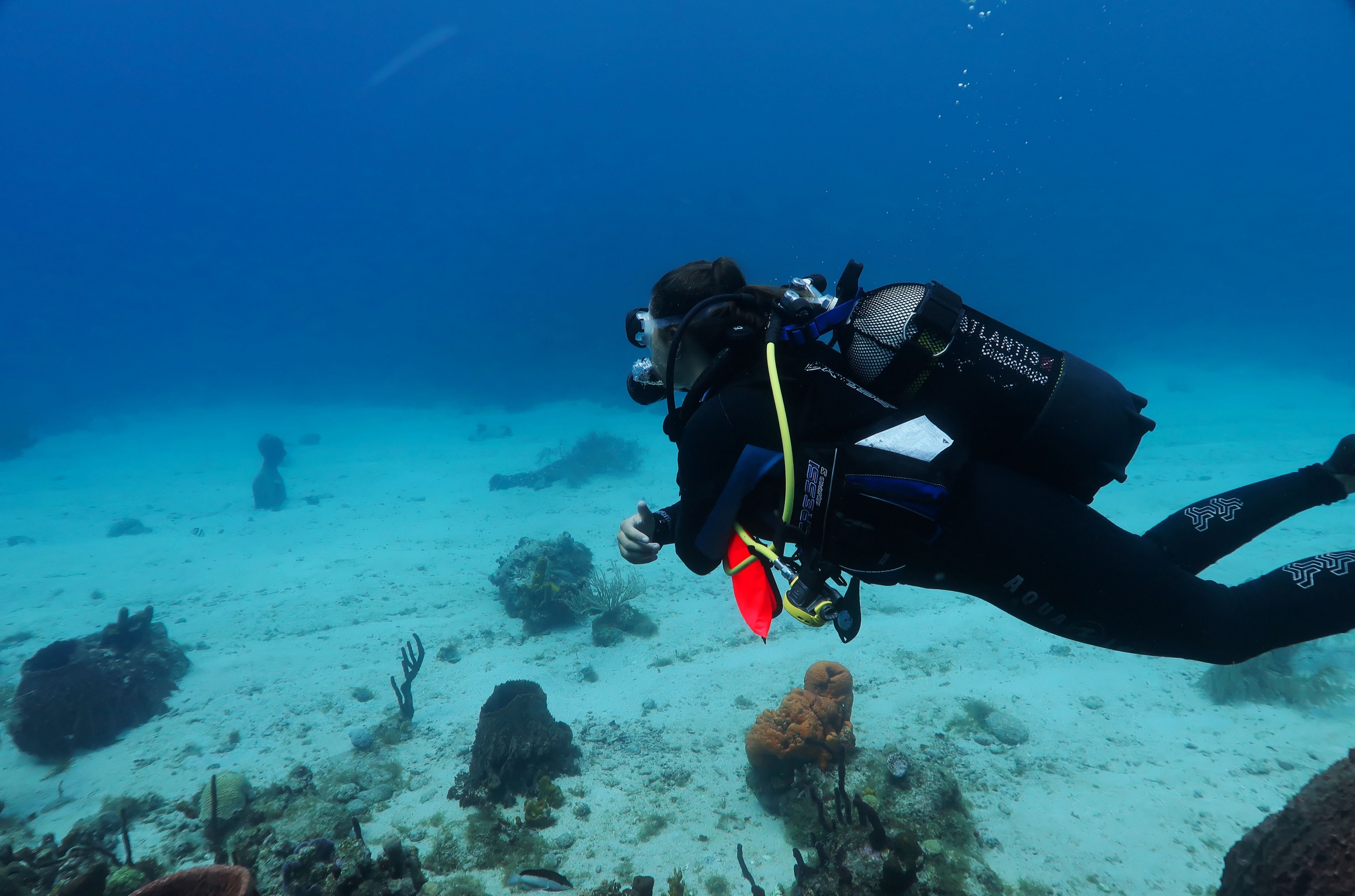 La Réserve Cousteau, lieu de rendez