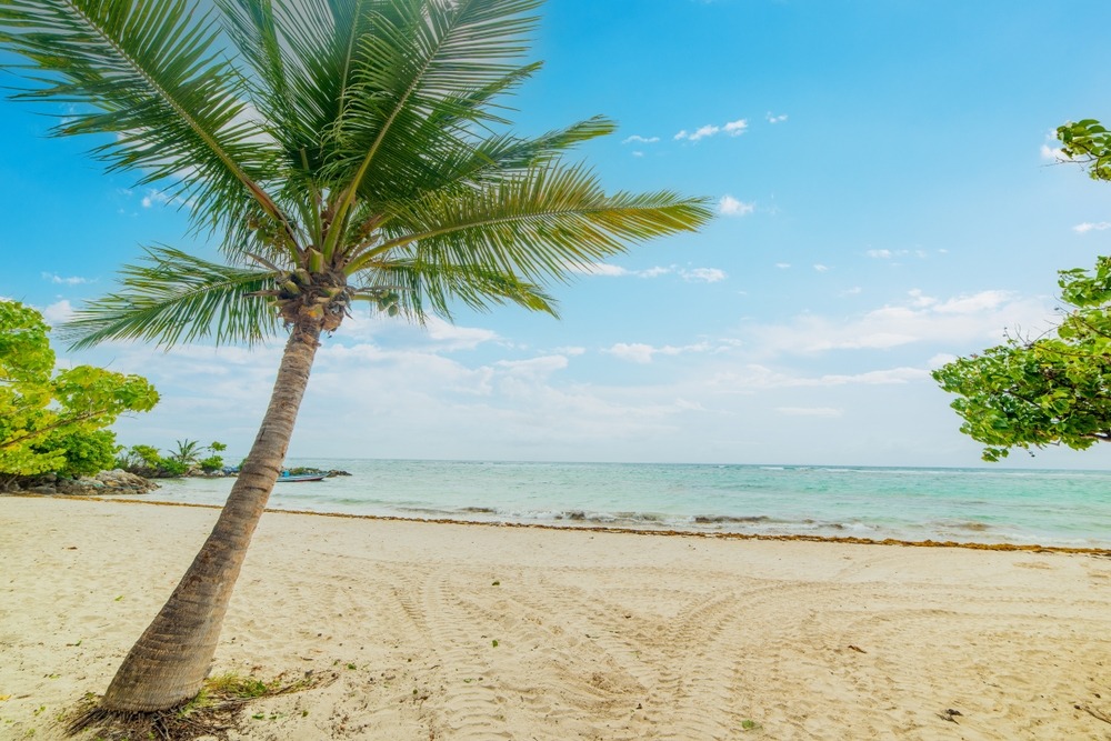 Quand partir en Guadeloupe ?