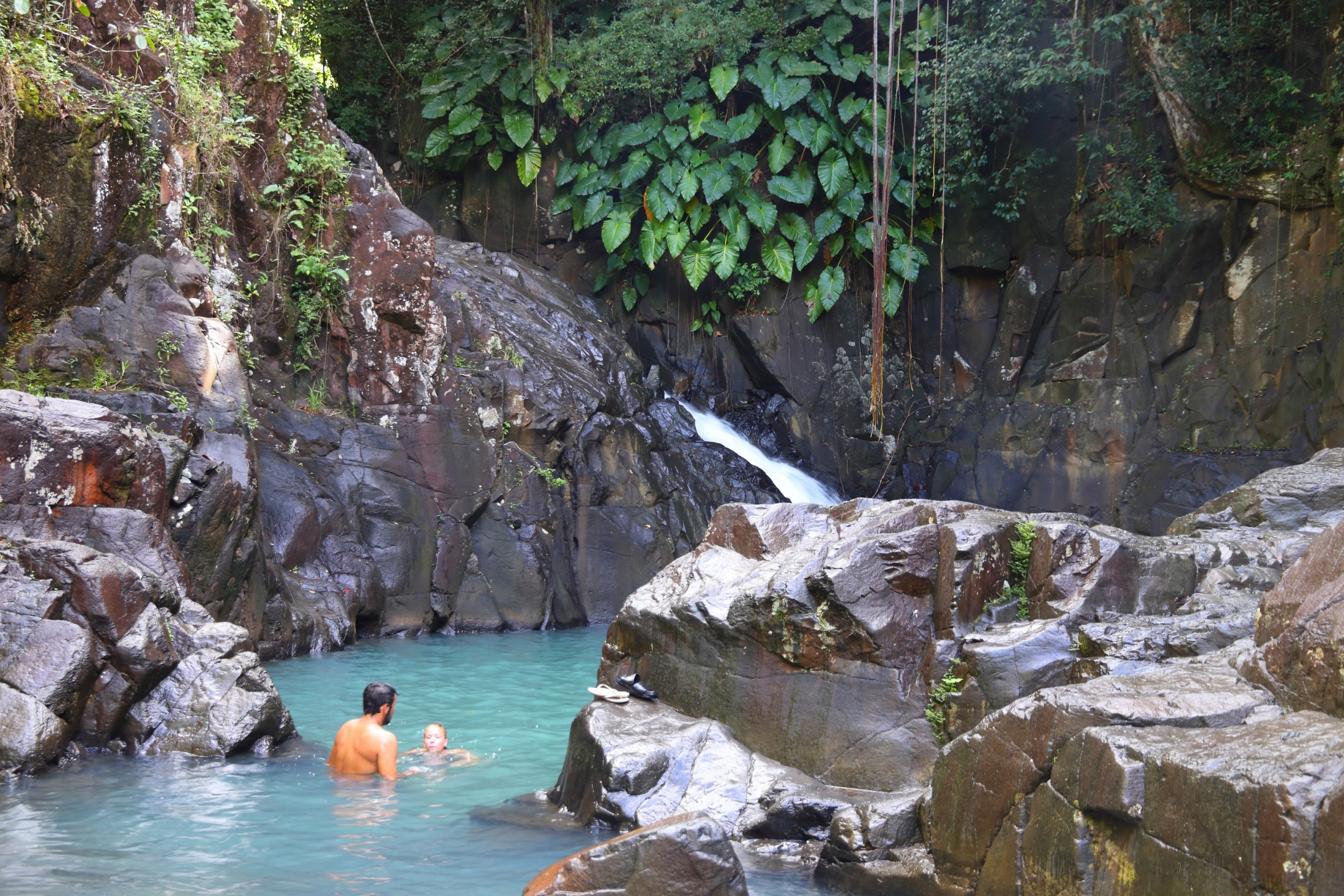 Les plus belles cascades de Guadeloupe