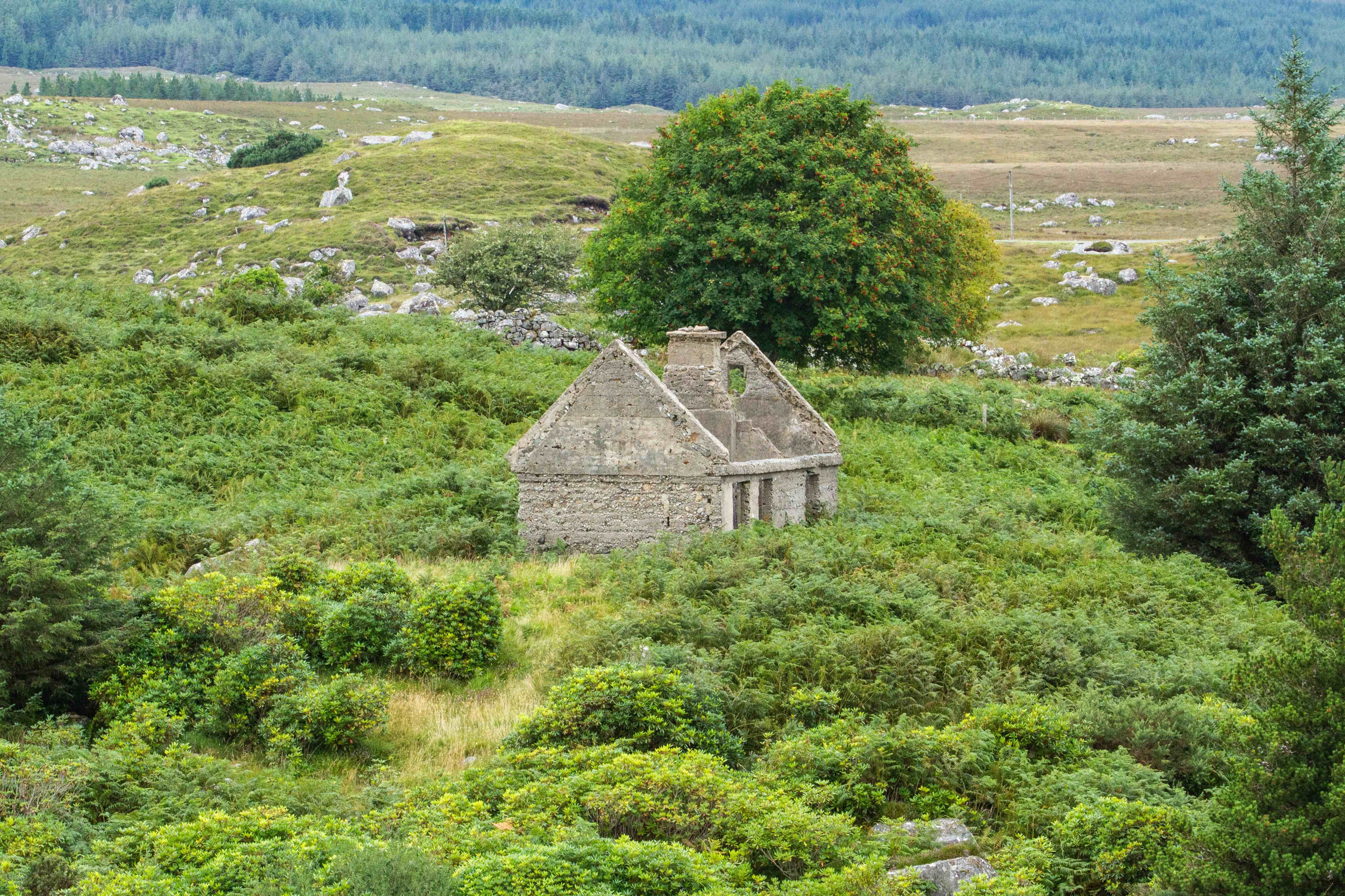 Dunfanaghy Workhouse