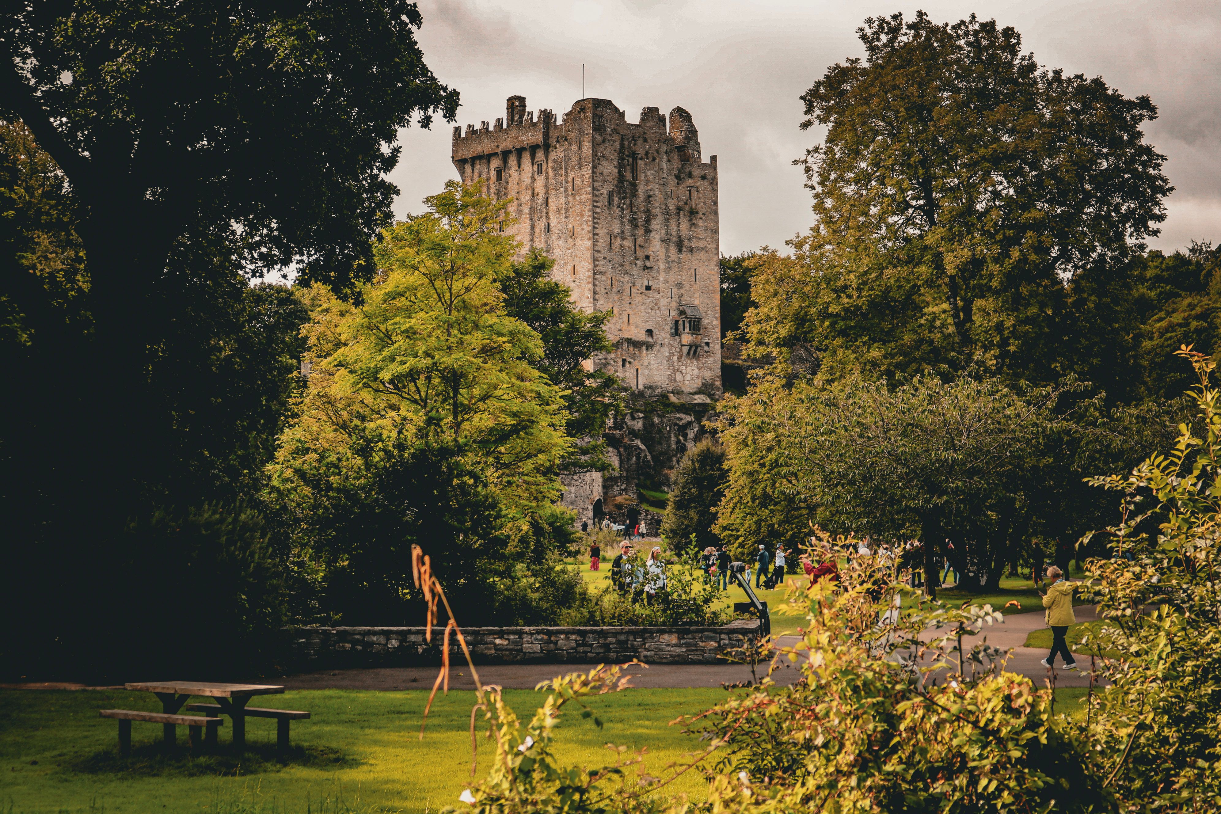 Trim Castle