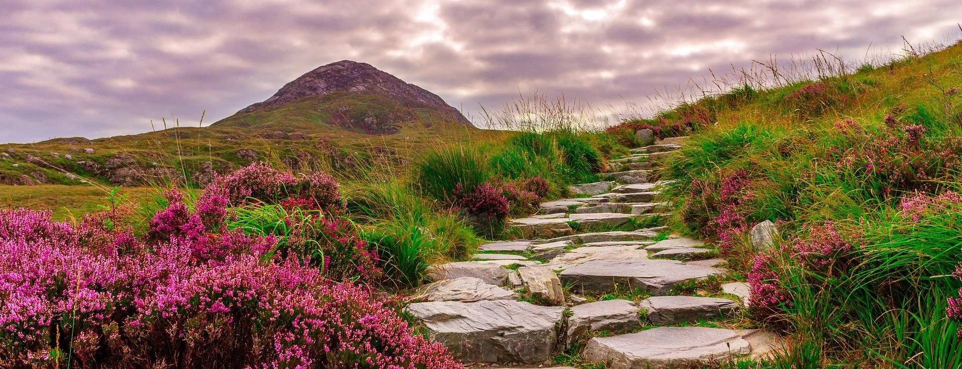 Votre agence de voyage en Irlande