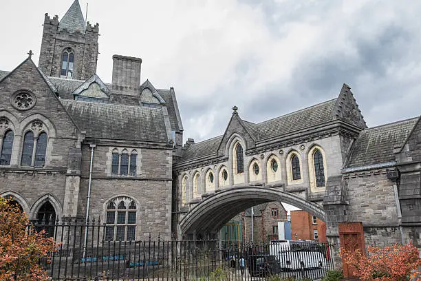 Dublinia