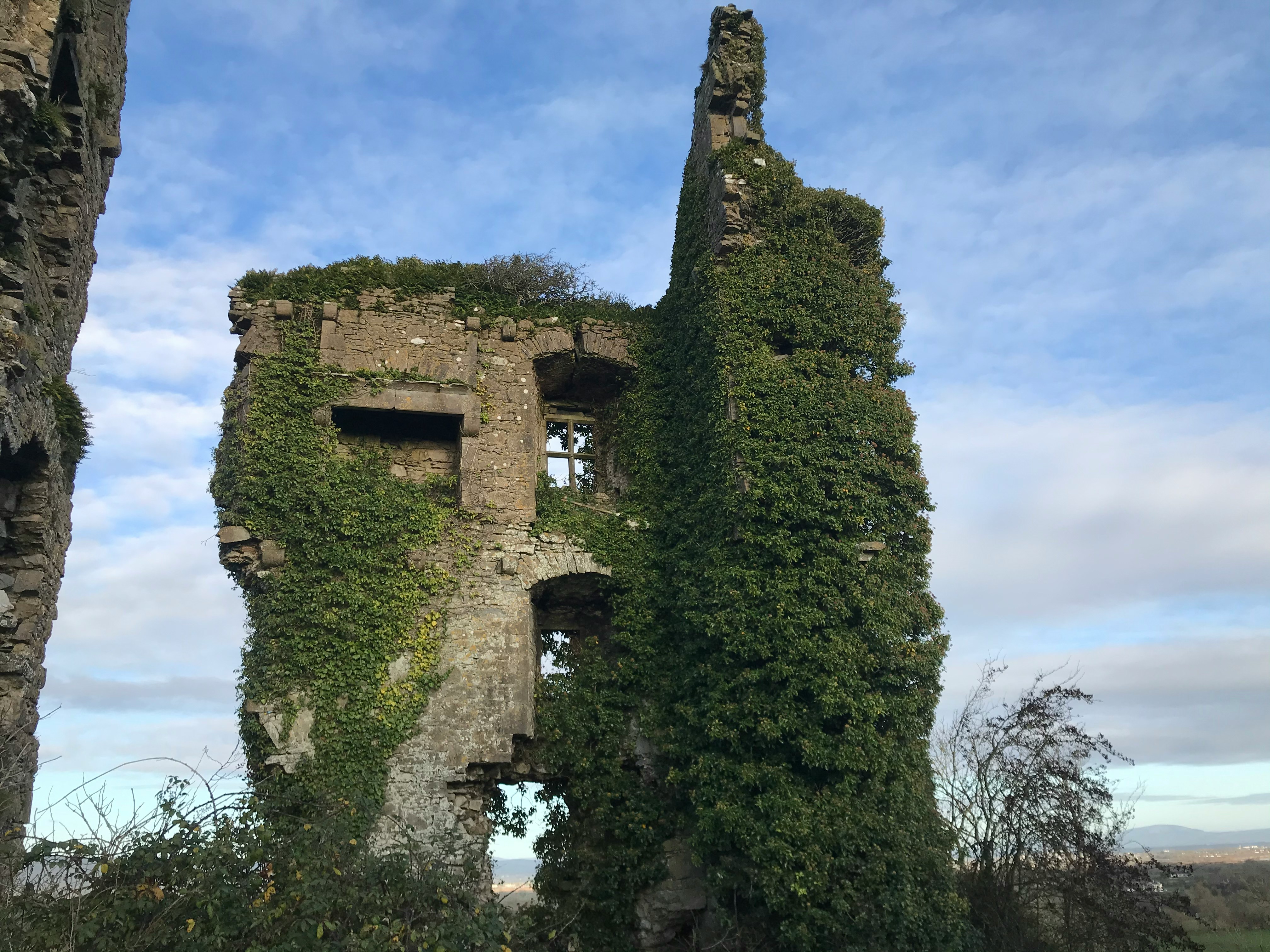Bunratty Castle & Folk Park