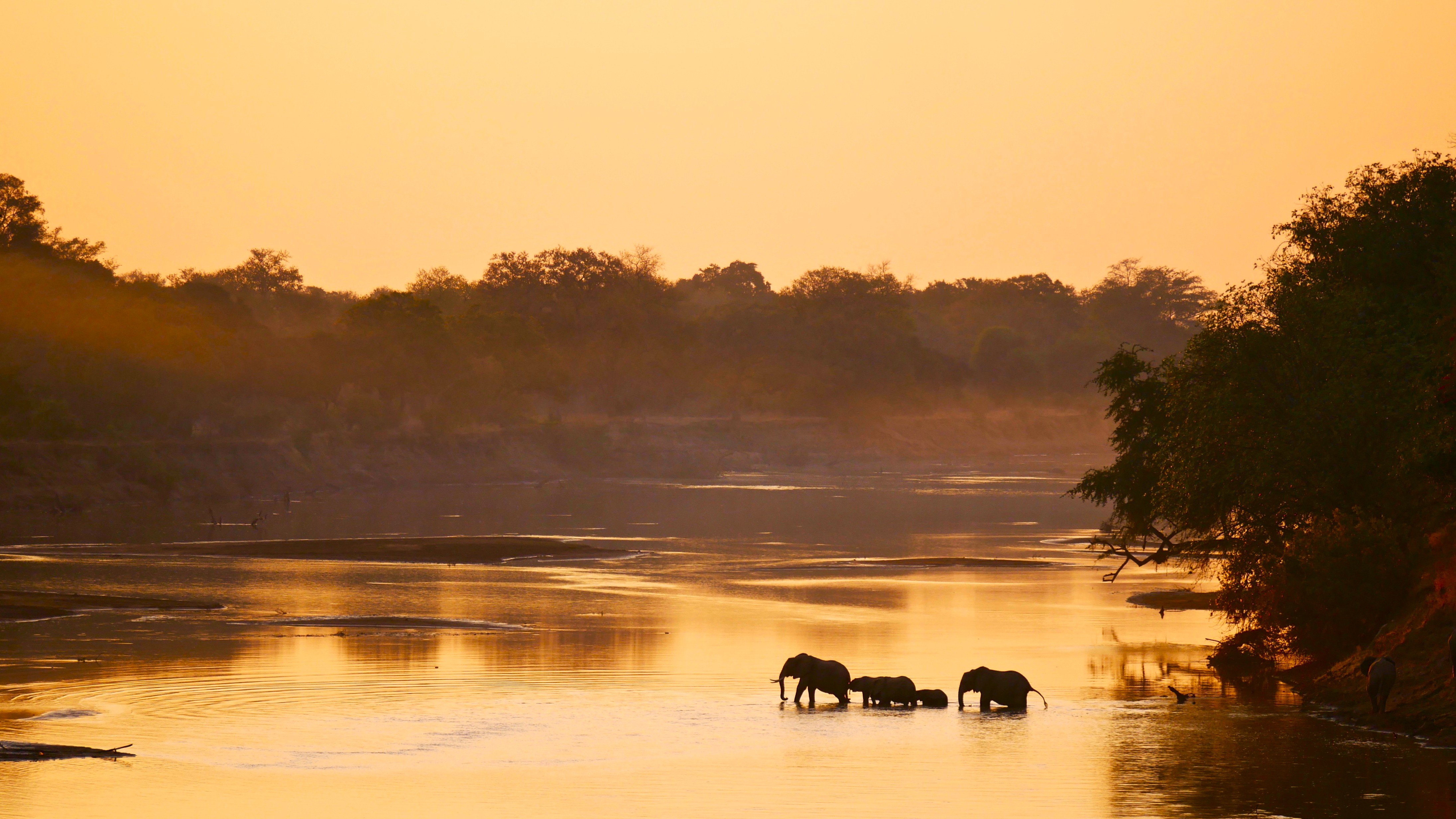 Paysage de la région South Luangwa en Zambie