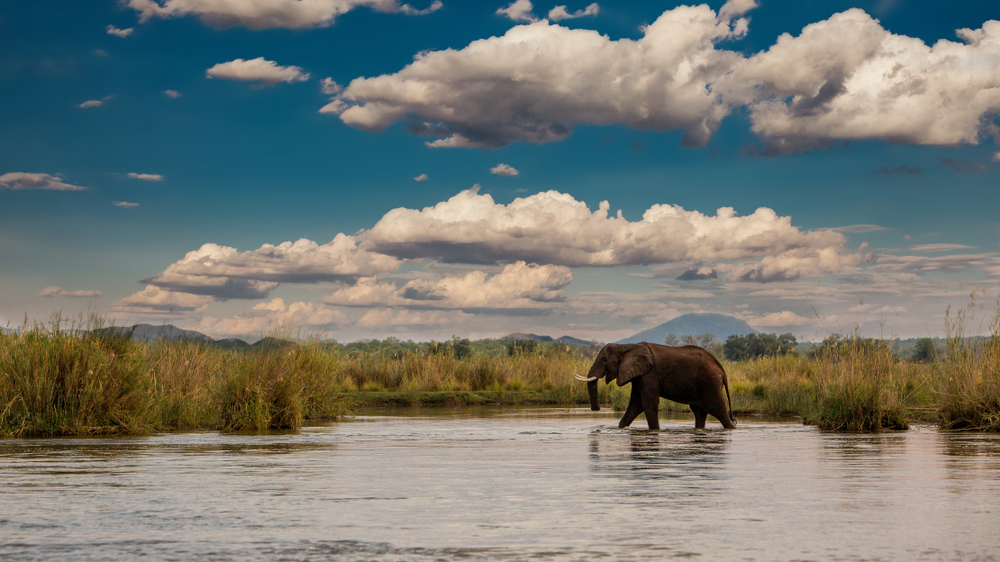 Victoria Falls