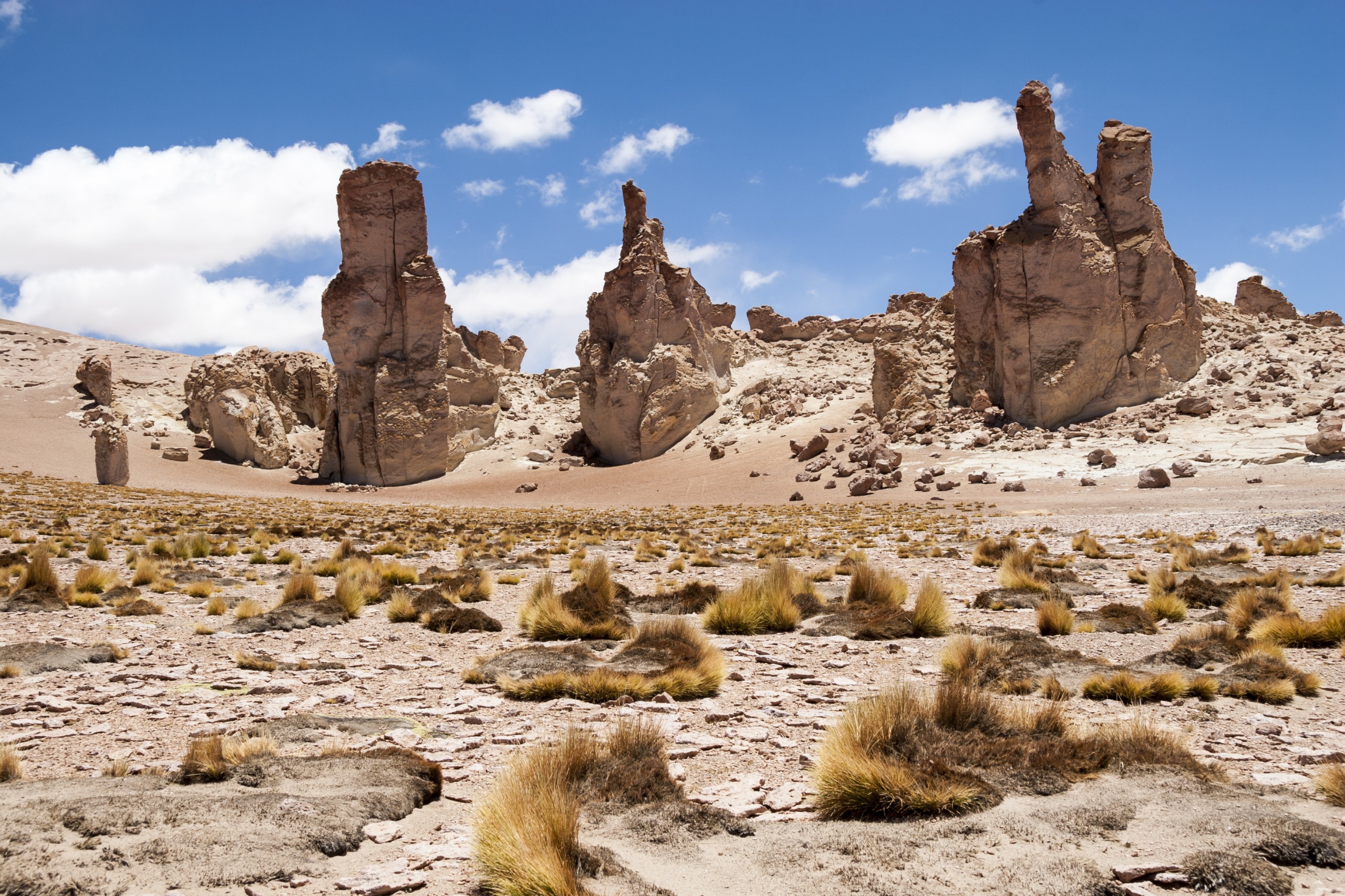 Le Salar de tara