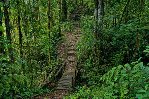 Monteverde