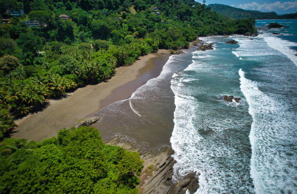 Dominical