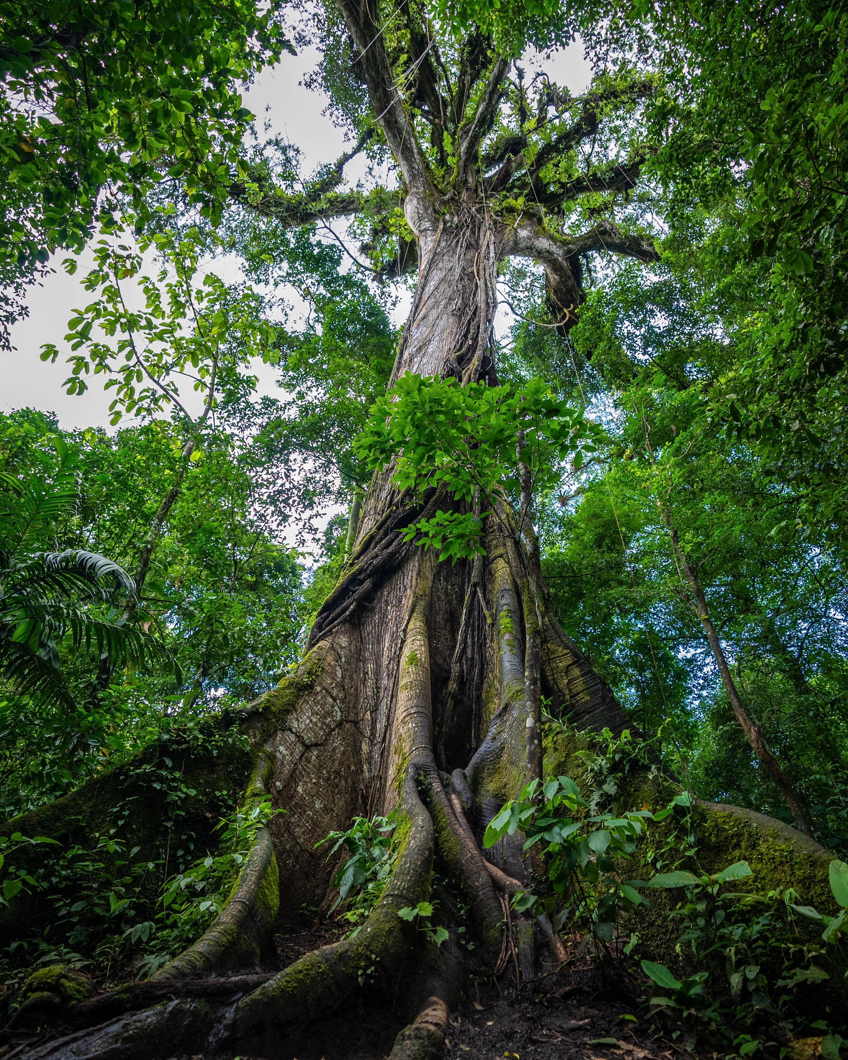 Hacienda Barú National Wildlife Refuge