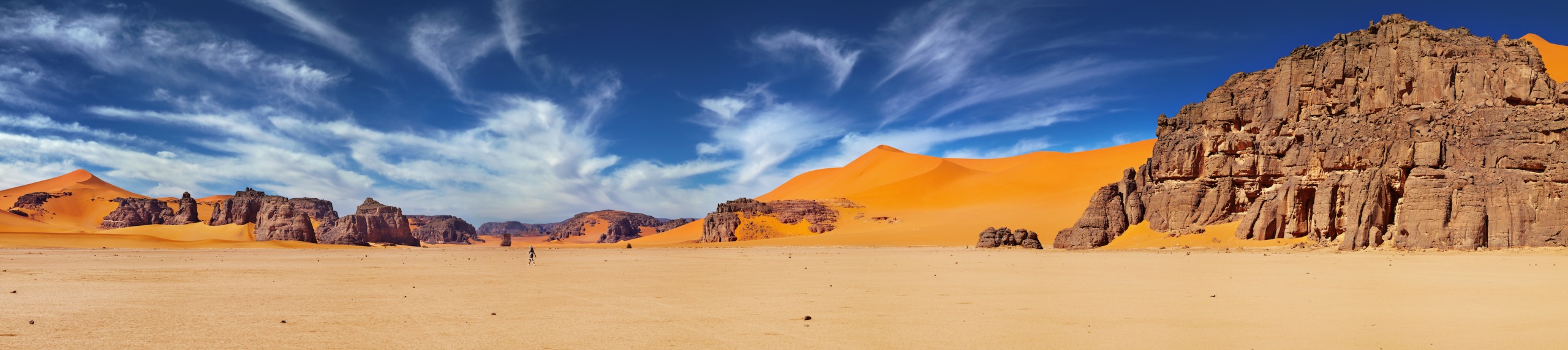 Le Cyprès de Duprez du Tassili