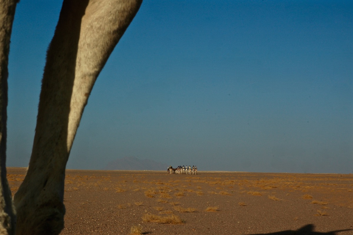 Les salines de l'Amadror