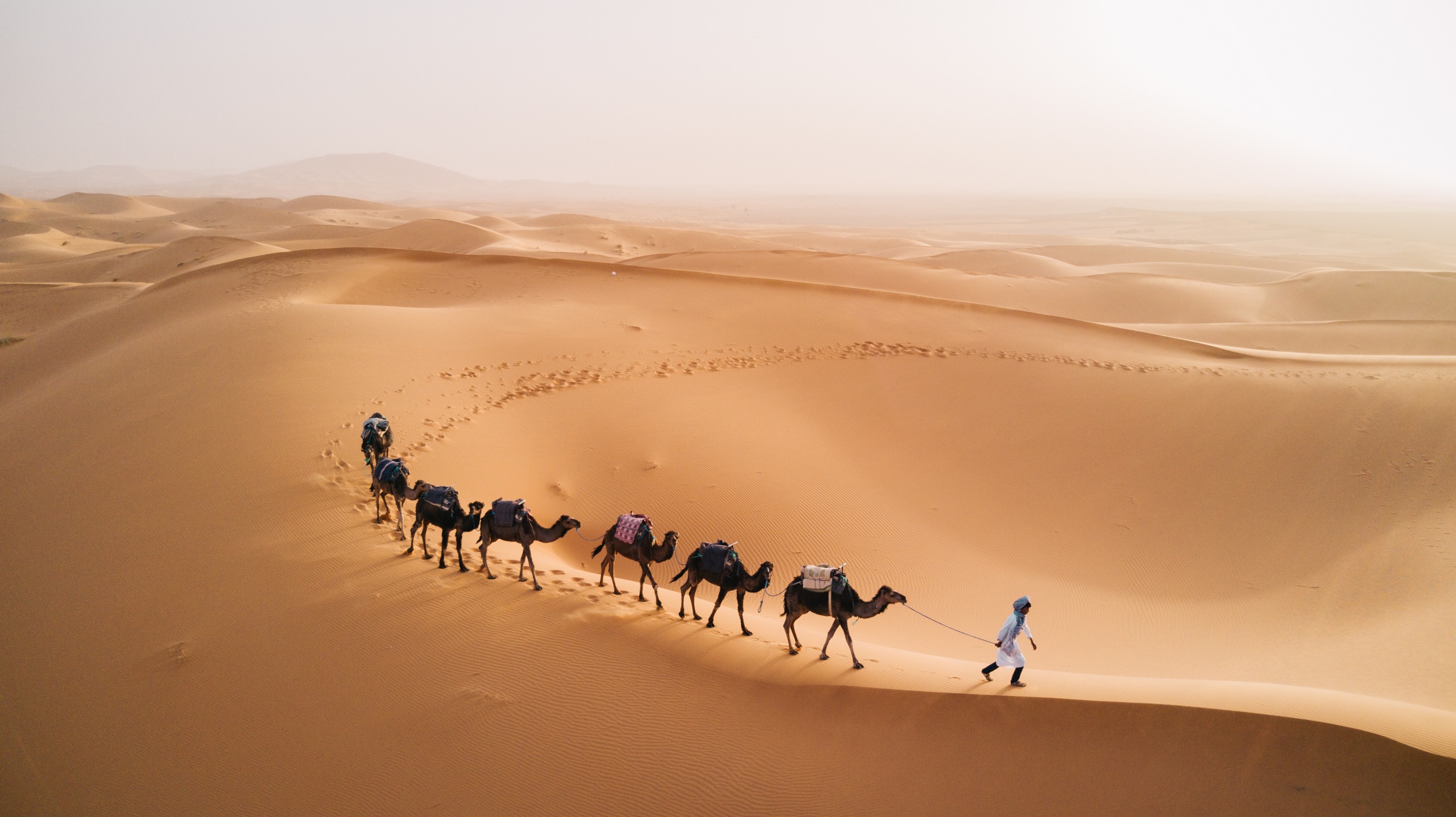 Les voyages en randonnées chamelières